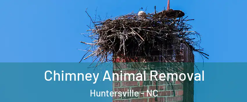 Chimney Animal Removal Huntersville - NC