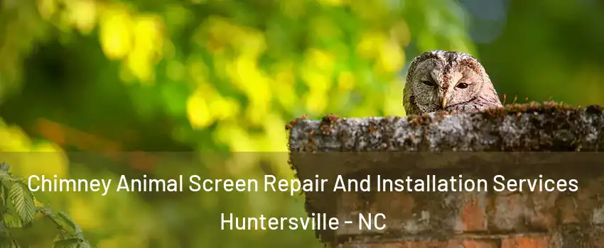  Chimney Animal Screen Repair And Installation Services Huntersville - NC