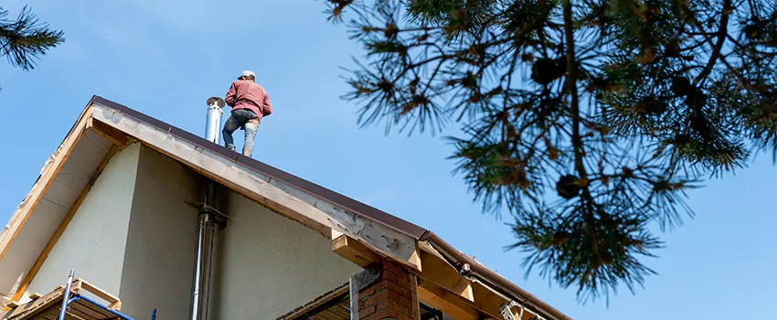 Birds Removal Contractors from Chimney in Huntersville, NC