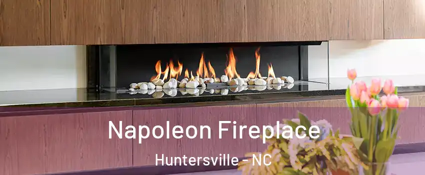  Napoleon Fireplace Huntersville - NC